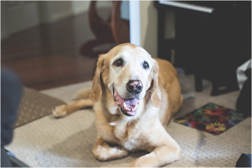 Camden Family Photography, Angie Duncan Photography, www.angieduncan.com.au